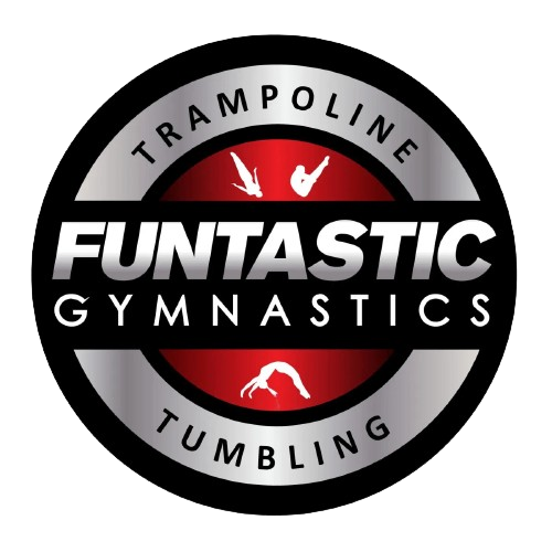 A silver and black logo for funtastic gymnastics.