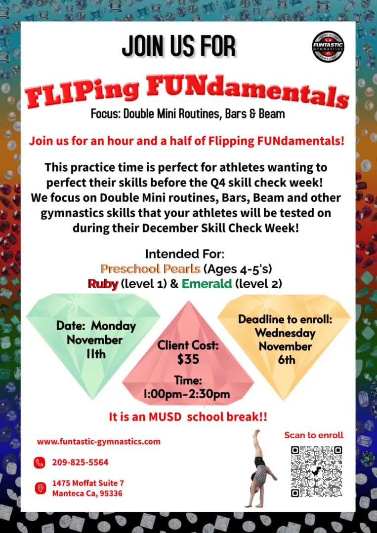 1111 Fliping FUNdamentals Flyer